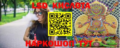 бошки Камышлов