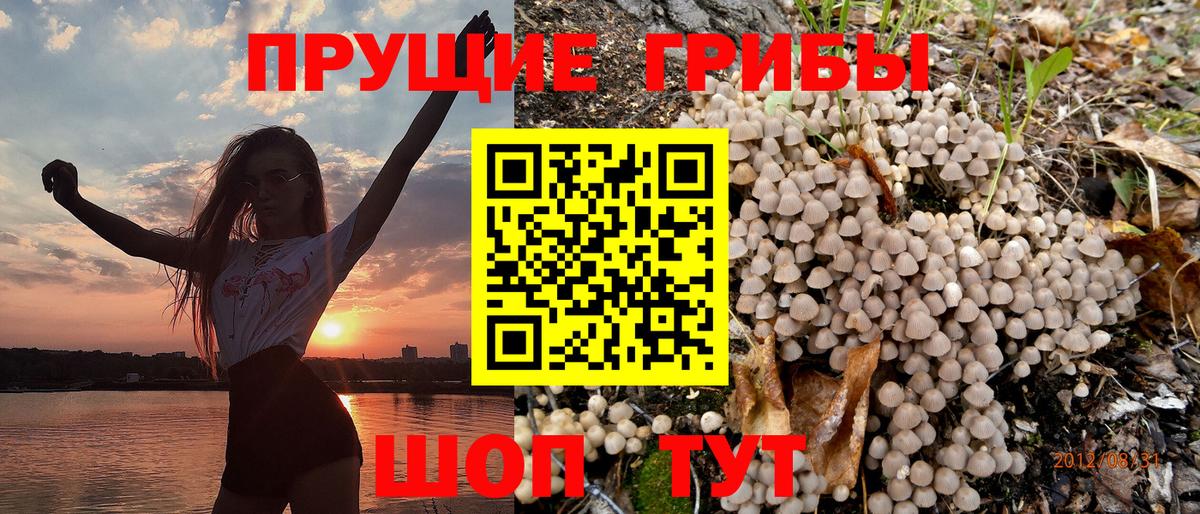 Галлюциногенные грибы мицелий  Вход с VPN  Кольчугино 